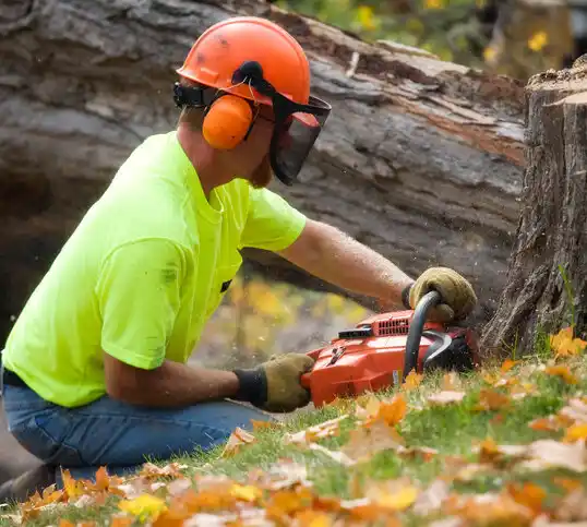 tree services Jonesburg